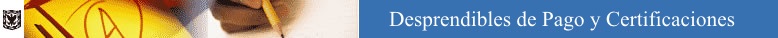 Desprendibles de Pago